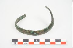 Foto von Bronzeschaukelfußreif (NHMW-PRAE-025995)